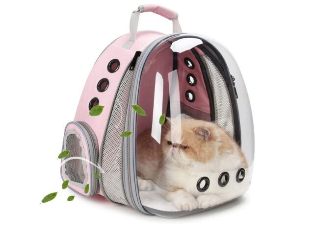 Best Cat Backpack Reviews (Best Selection)