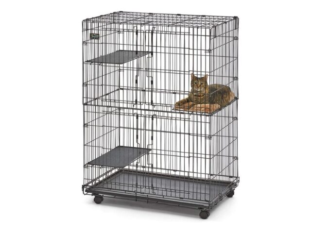 Best Cat Cages Reviews (Our Best Selection For You)