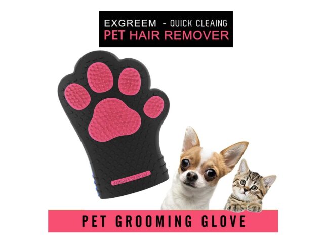 Best Cat Grooming Gloves Reviews (Our Best Selection)