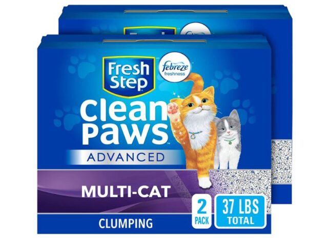 Best Dust Free Cat Litters Reviews (Our Best Selection)