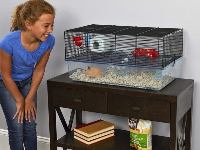 Best Hamster Cages Reviews (Our Best Selection For You)