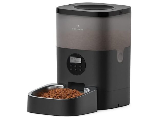 Best Automatic Cat Feeders Reviews (Our Best Selection For You)