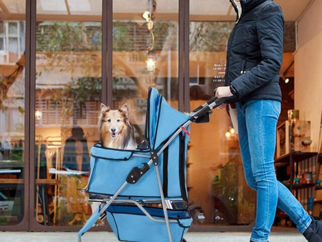 Best Cat Strollers Reviews (Our Best Selection For You)