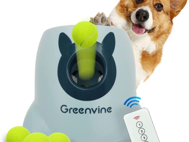 9 Best Dog Ball Launchers Reviews (Our Best Selection For You)