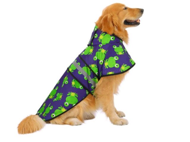 Best Dog Raincoats Reviews (Our Best Selection For You)