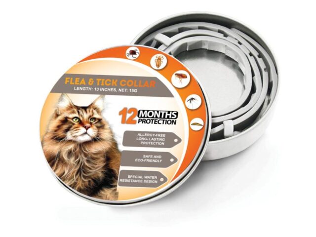 Best Flea Collars For Cats Reviews (Our Best Selection)