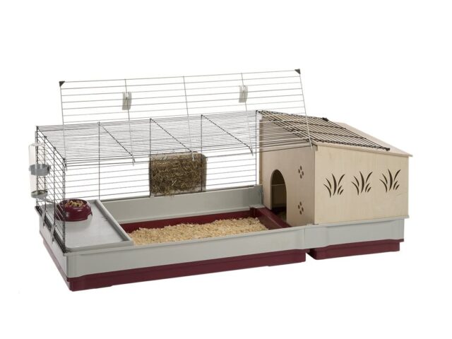 9 Best Guinea Pig Cages Reviews (Our Best Selection)