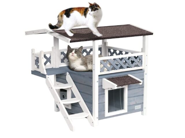 Best Outdoor Cat House Reviews (Our Best Selection For You)