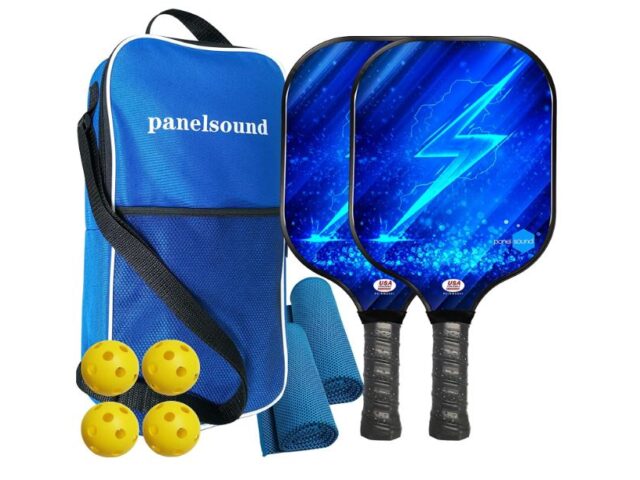 9 Best Pickleball Paddle Under $100 (Buyer Guide & Reviews)