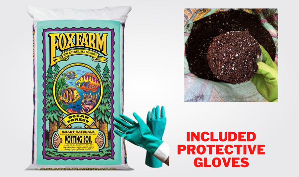 FoxFarm Ocean Forest Potting Organic Soil Mix For Monstera