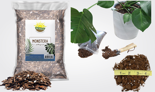 Monstera Houseplant Potting Soil Mix, Custom Blend for Growing and Repotting